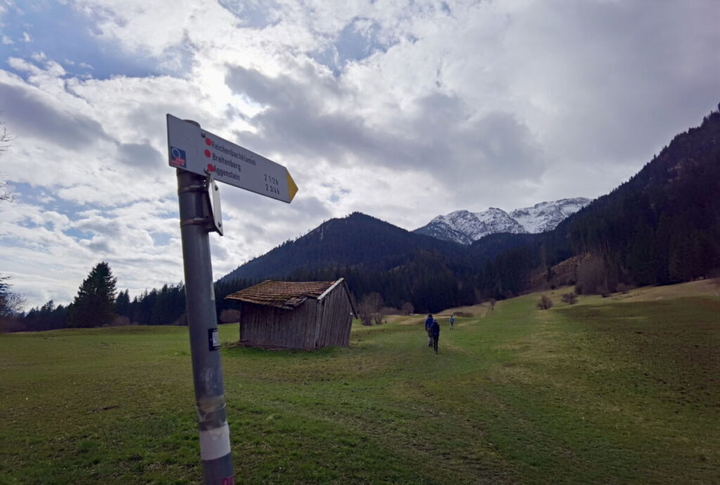 Reichenbachklamm Zustieg - über Wiesen geht es hinauf Richtung Klamm