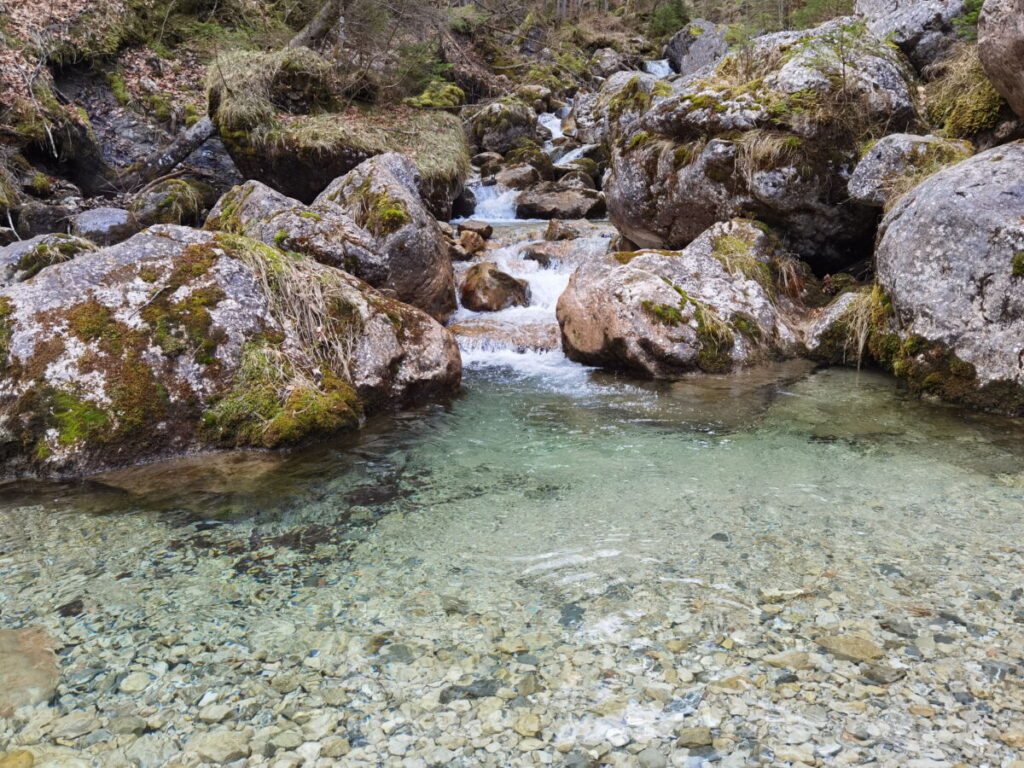 Wir erreichen die Reichenbachklamm - und die Gumpe am Eingang der Klamm